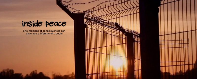 sillhouette of a tall fence topped with barbed wire against sunset, with words 