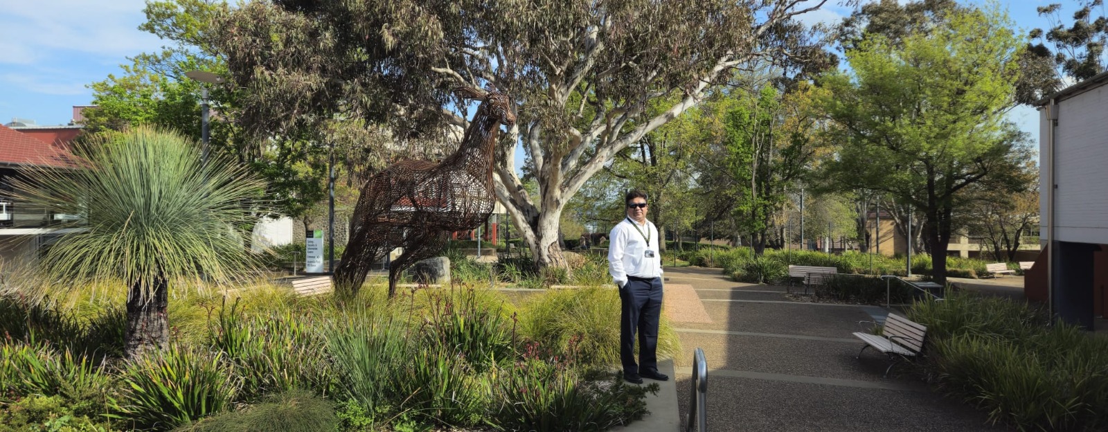 A man wearing a white shirt, dark trousers, sunglasses and a staff lanyard stands on a paved path in a landscaped university courtyard. To his left is a large metal kangaroo sculpture surrounded by native grasses and plants, with tall gum trees and benches lining the walkway under a bright, clear sky.