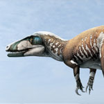Head and shoulders artist's impression of dinosaur