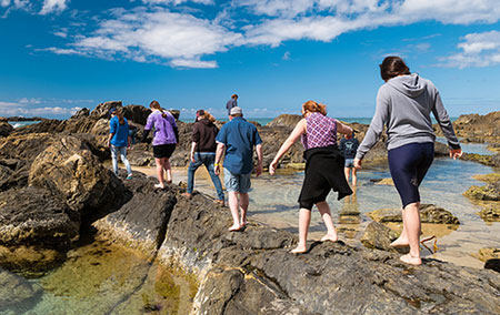 Students on a field trip at the beach