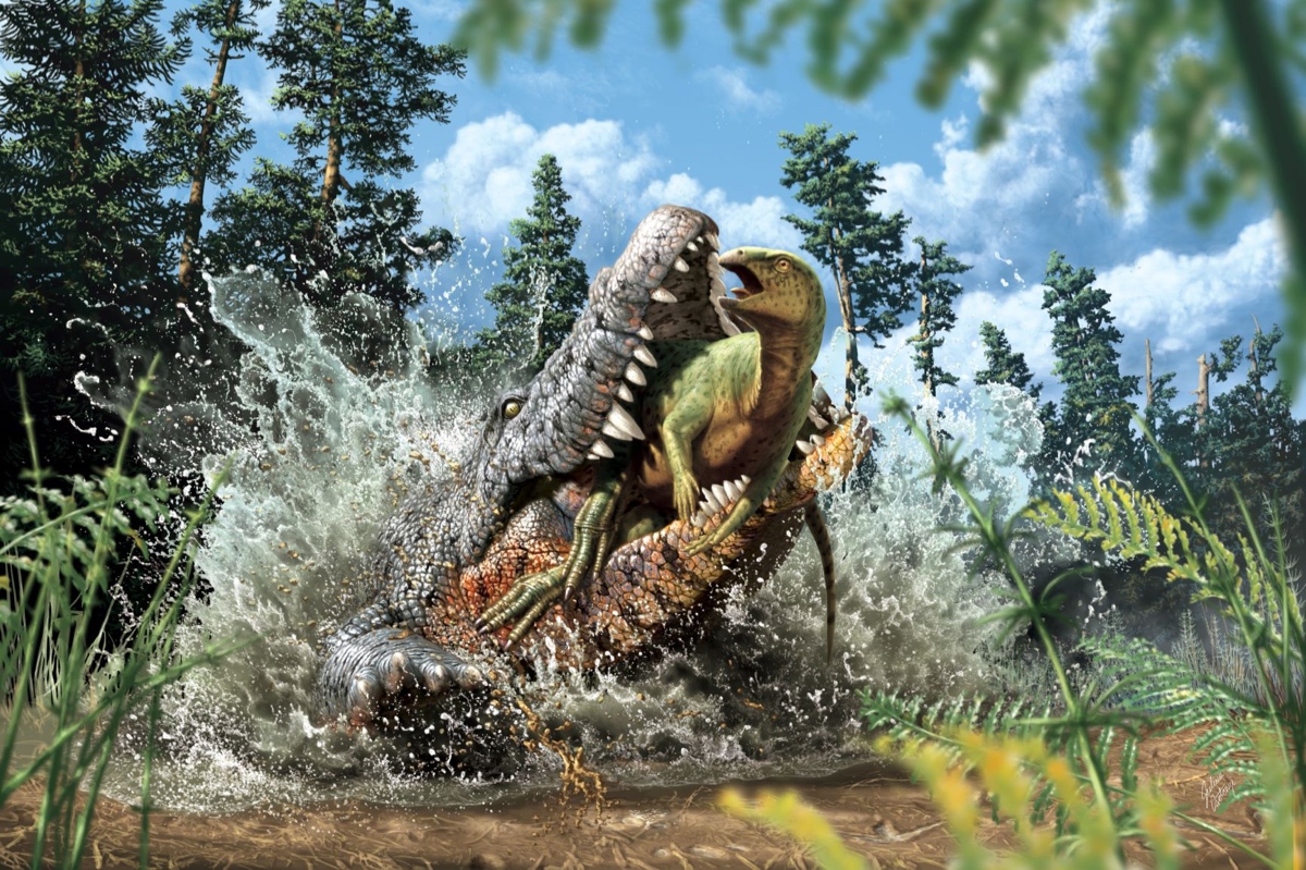 Artists impression of an ancient crocodile eating a dinosaur