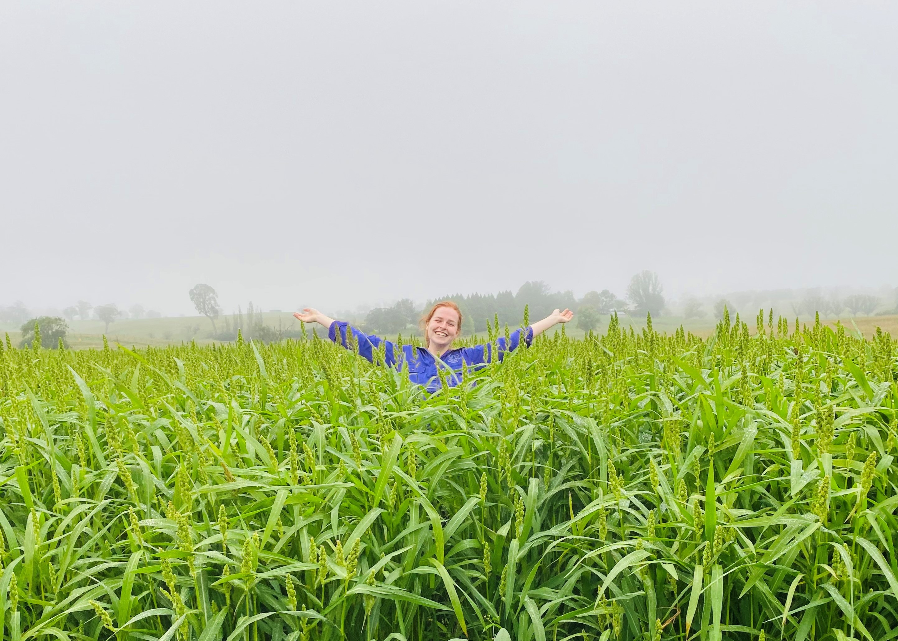 Brianna Carney standing in a millet crop