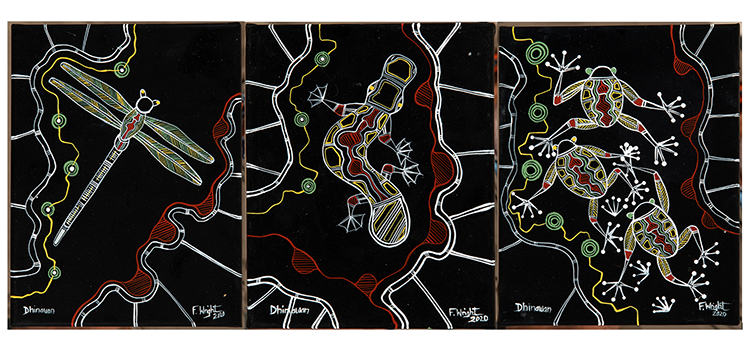 Three artworks featuring a stylised dragonfly, platypus and frogs on a black backdrop 