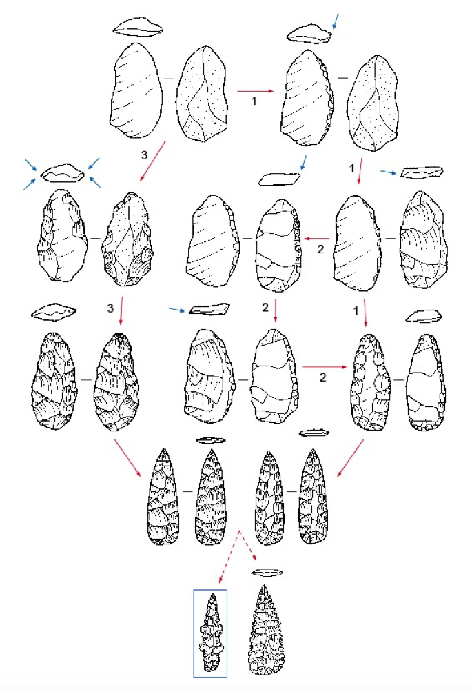 Reduction sequence model for the production of Kimberley Points, Western Australia. Reduction Sewuence Analysis