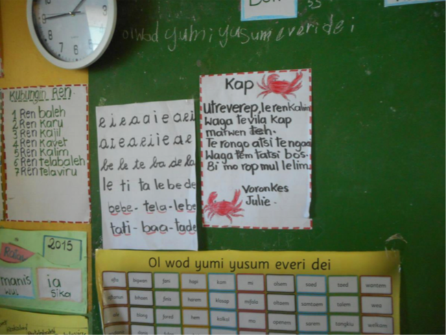cindy schneider vanuatu blackboard