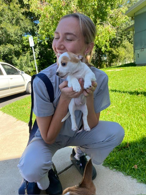 Young female in medical scrubs cuddles puppy