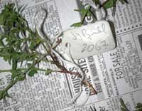 Collecting tag