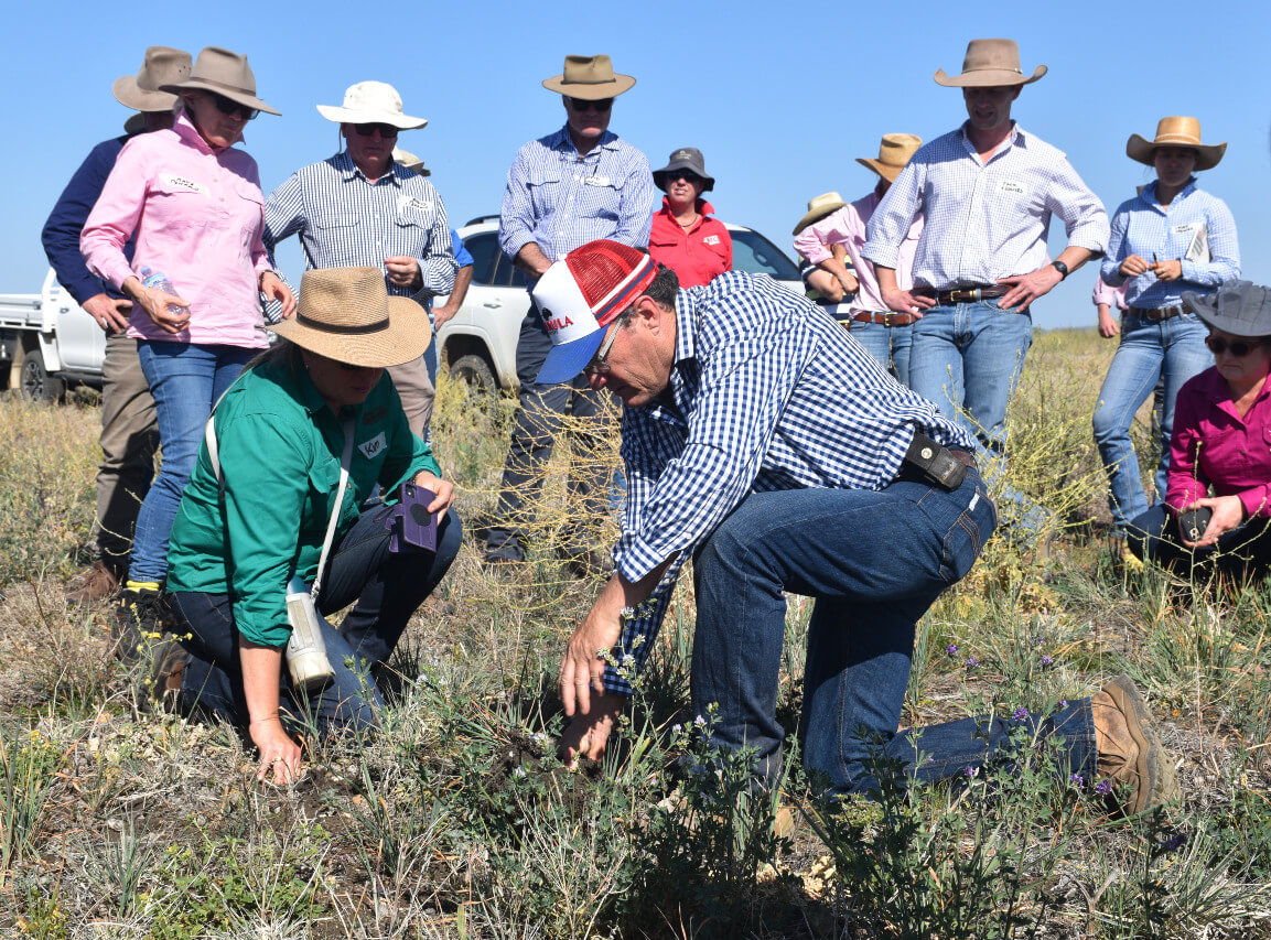 A group of farmers are gathered around Justin Kirkby and Kim Deans who have dug up a tropical legume plant and are inspecting its roots for nodulation