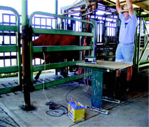 flight time being measured at 'Tullimba