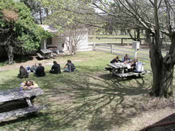 On the lawn at Newholme