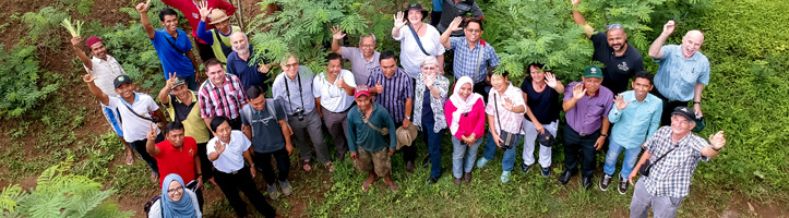CropCow project team standing in a plantation in Sumbawa, Indonesia