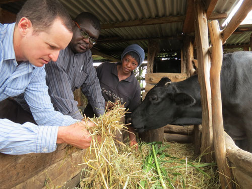 Livestock Training