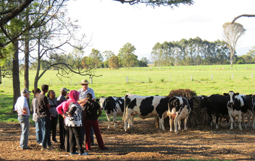 Livestock Training