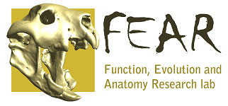 The Function, Evolution and Anatomy Research Lab