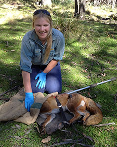 Student with Wild Dog Tagging