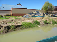 Bioremediation and bioavailability