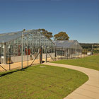 Glasshouses