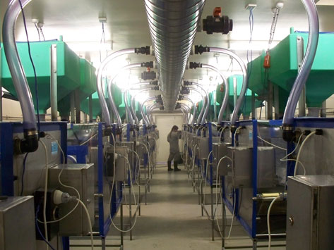 Chicken Isolator