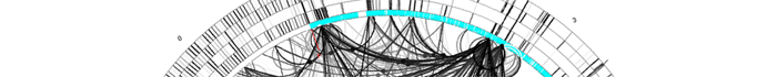 Gene interactions