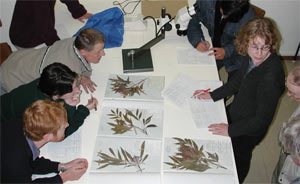 Systematics