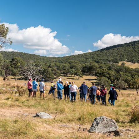 A group of people in a paddock with a bush background.