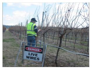 Vineyard Frost Protection