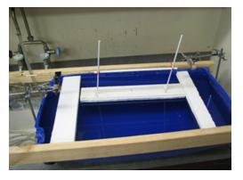 Monolayer visual 2