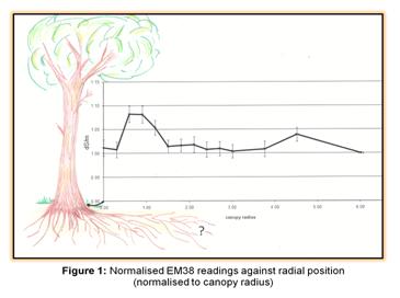 Scattered Trees Diagram