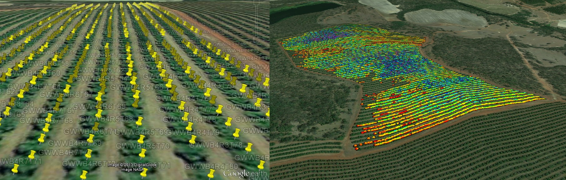 Tree Project Banner showing trees and crops from aerial view
