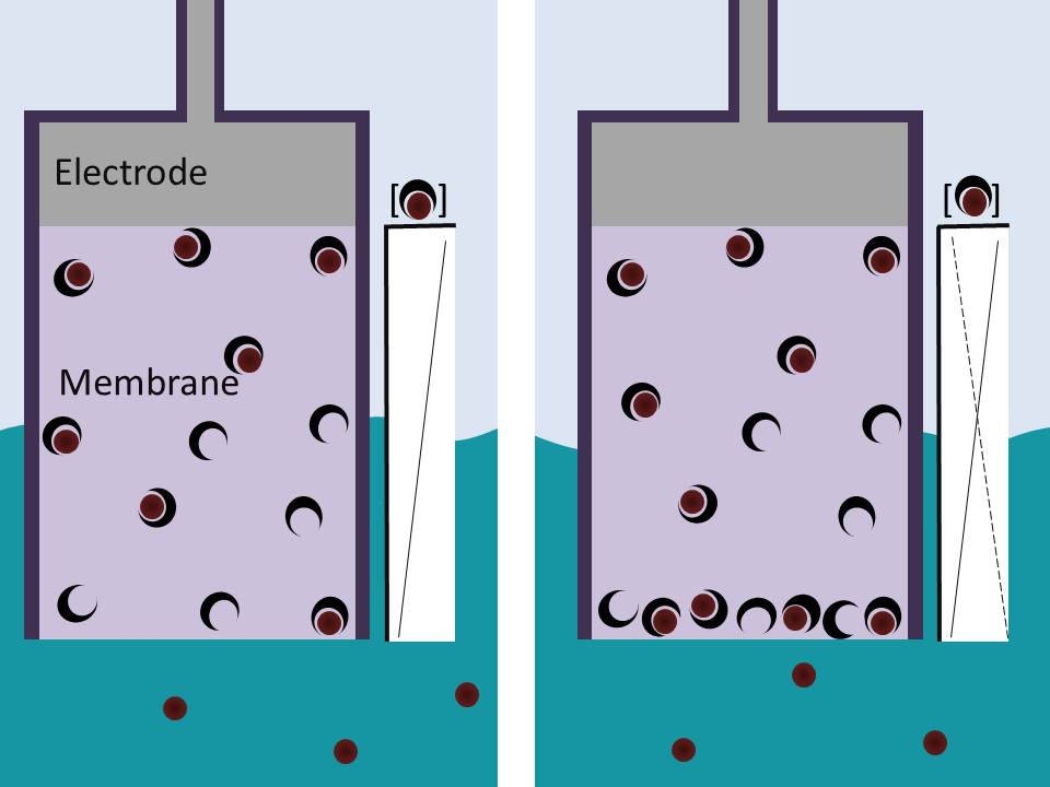 Membranes Membranes