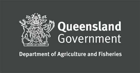 QDAF Logo
