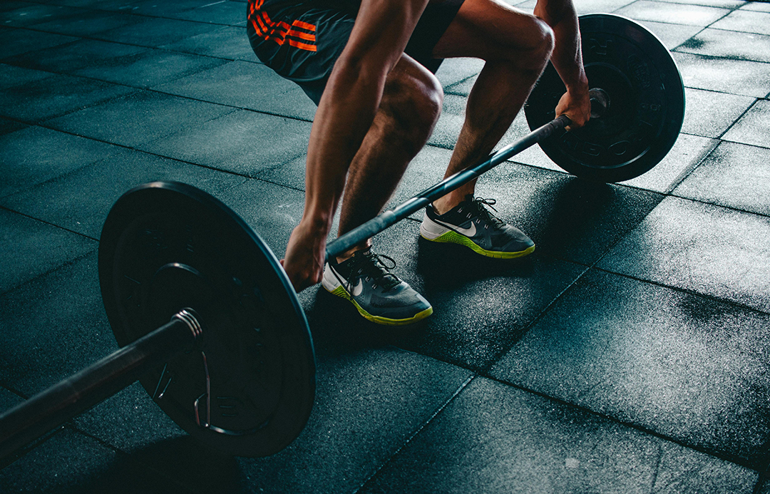 ASCA Level 1 Strength and Conditioning Coaching Course Person lifting weights.