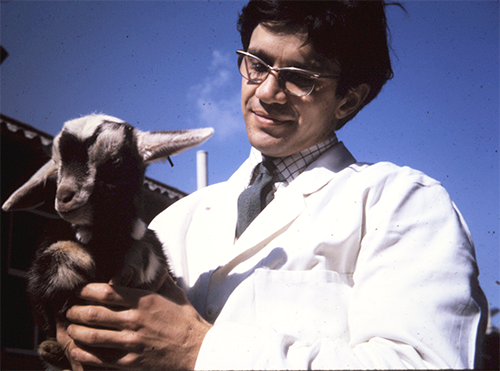 David Mellor