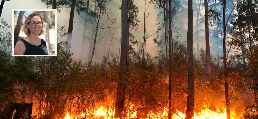 Associate Professor in Clinical Psychology at the University of New England (UNE), Suzie Cosh (inset), Image of Australian bush fires 