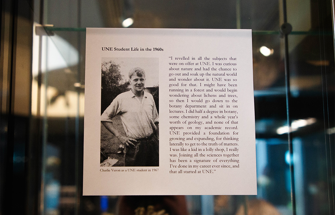 Image showing one of the pieces on display in the new exhibition at the UNE Natural History Museum. 