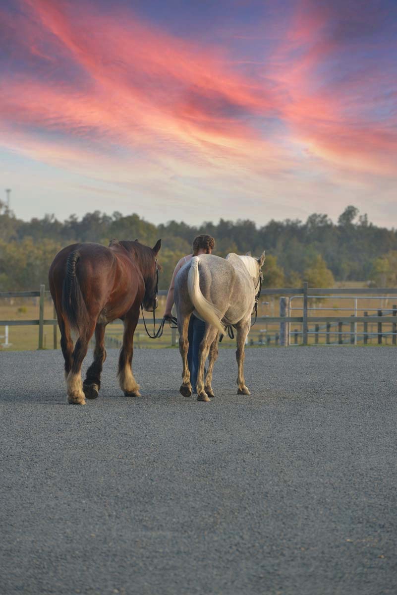 A woman with plaits walking between two horses, leading them to a paddock; a pink sunset is overhead.