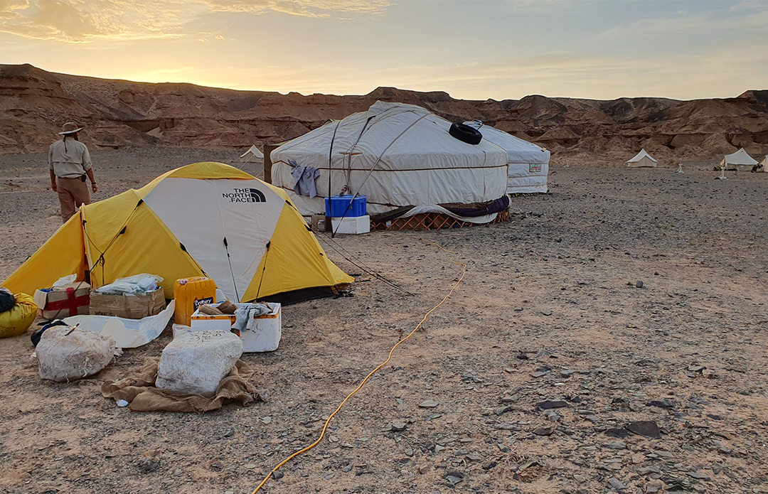 Home sweet home: The campsite 