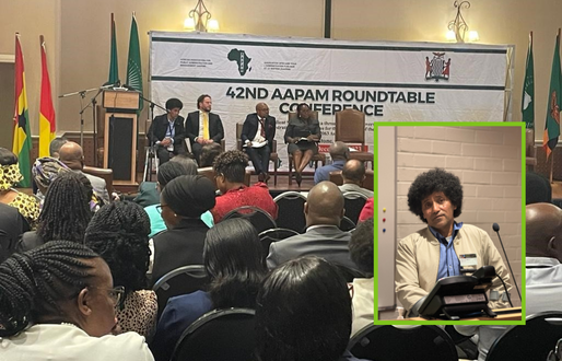Stage of panelist facing the crowd at a round table conference in Africa. 