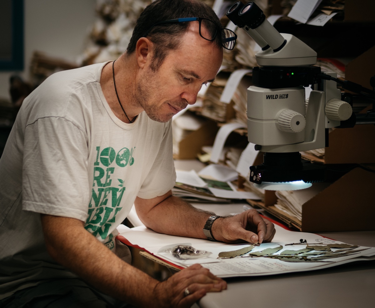 Tim Collins with Eucalyptus dalveenica
