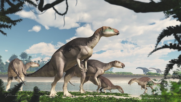 Artist's reconstruction of Fostoria dhimbangunmal. Image ©James Kuether.
