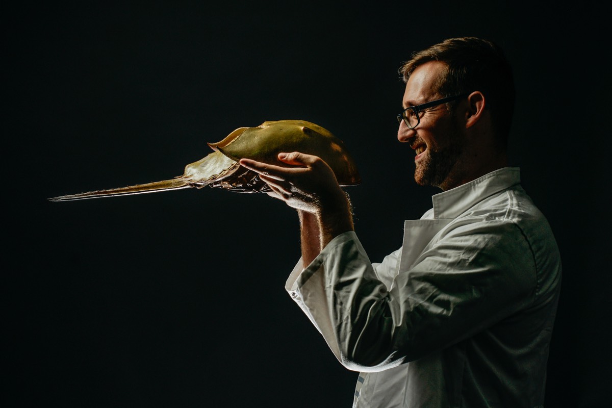 Russell Bicknell & horseshoe crab