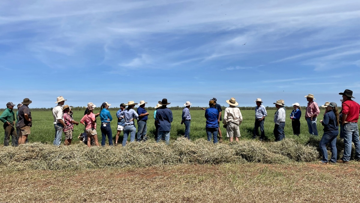 Group of farmers looking at a paddock.