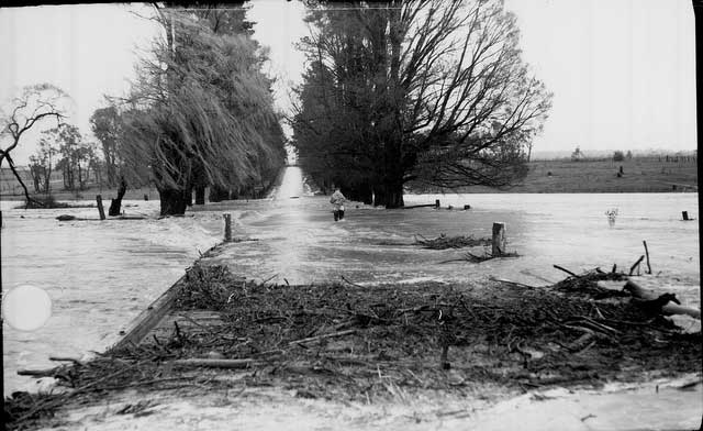 Flood on Elm Avenue