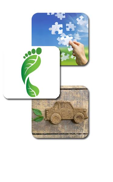 Environmental Sustainability