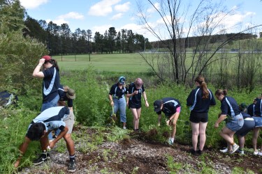 UNE Landcare 4