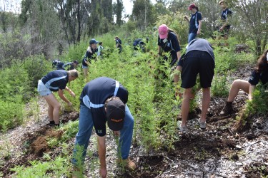 UNE Landcare 5