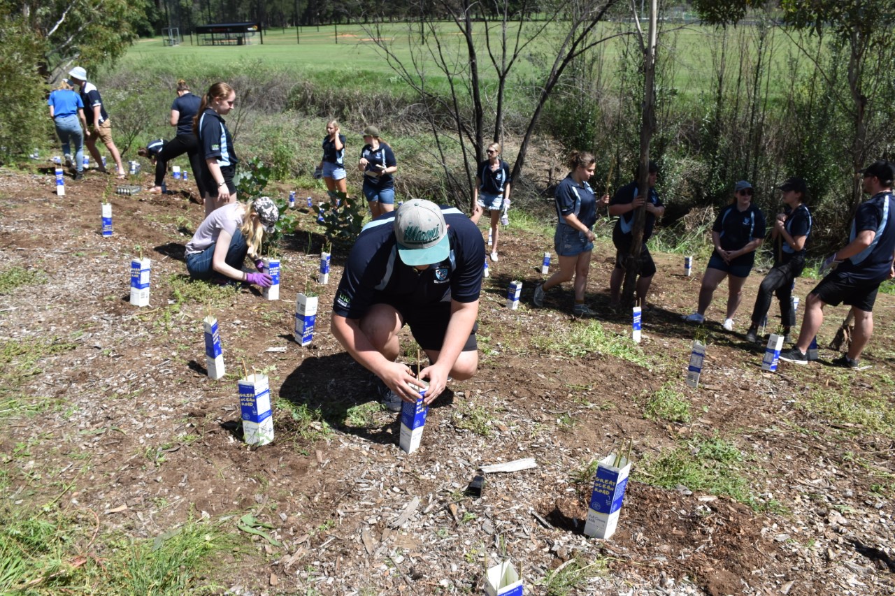 UNE Landcare 6
