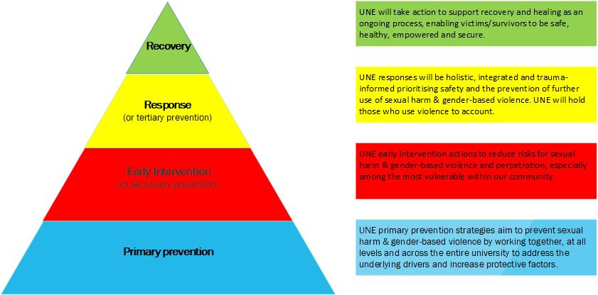 Sexual harm Gender Based Violence framework