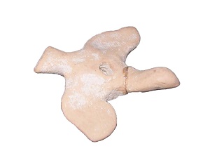 Mycenaean Terracotta Bird Figurine, 1400 BC Mycenaean Terracotta Bird Figurine