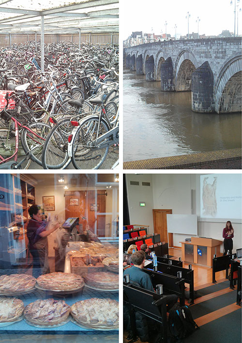 collage of Dutch landmarks form study abroad tour
